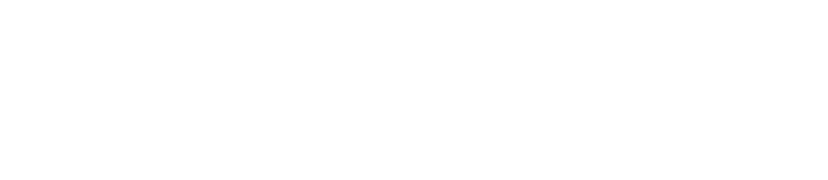 AeroSECURE